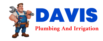 Trusted plumber in LAROSE